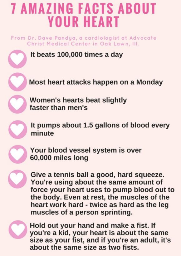 7 Amazing Facts About Your Heart Health Enews